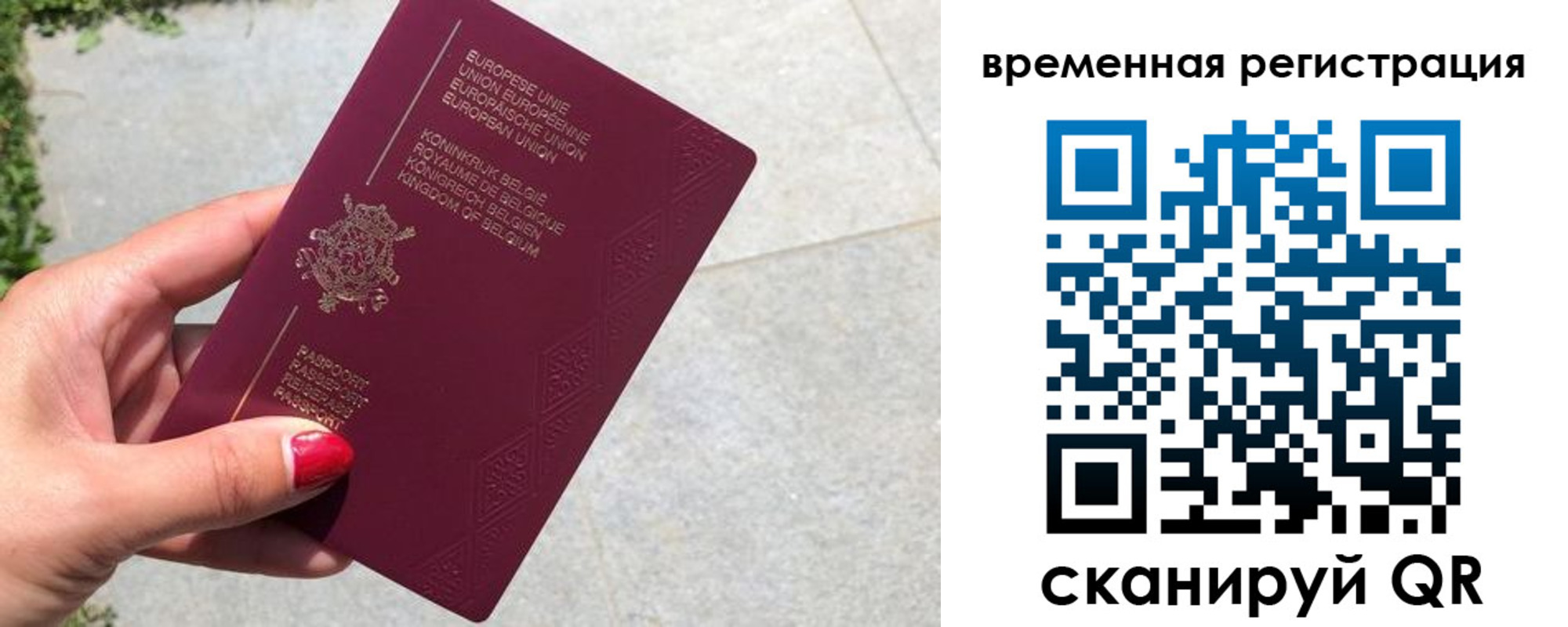 пропишу в квартире в Козельске